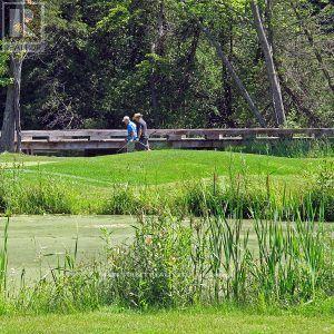 30504 Hwy 48 Highway, Georgina, Ontario  L0E 1N0 - Photo 17 - N12655032