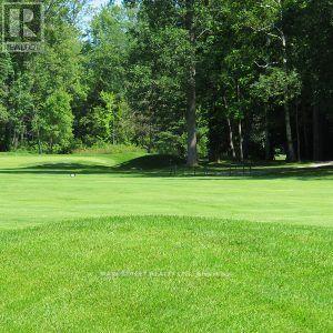 30504 Hwy 48 Highway, Georgina, Ontario  L0E 1N0 - Photo 20 - N12655032