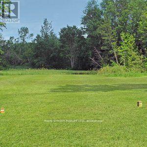 30504 Hwy 48 Highway, Georgina, Ontario  L0E 1N0 - Photo 23 - N12655032