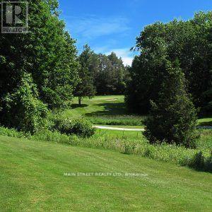 30504 Hwy 48 Highway, Georgina, Ontario  L0E 1N0 - Photo 24 - N12655032