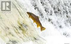 604 - 20 Brin Drive, Toronto, Ontario  M8X 0B2 - Photo 31 - W12653622