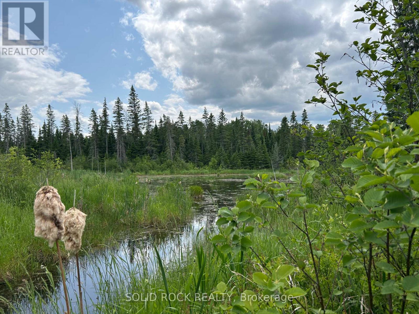 0 No Address Road, Mcnab/braeside, Ontario  K7S 3G8 - Photo 6 - X12654852