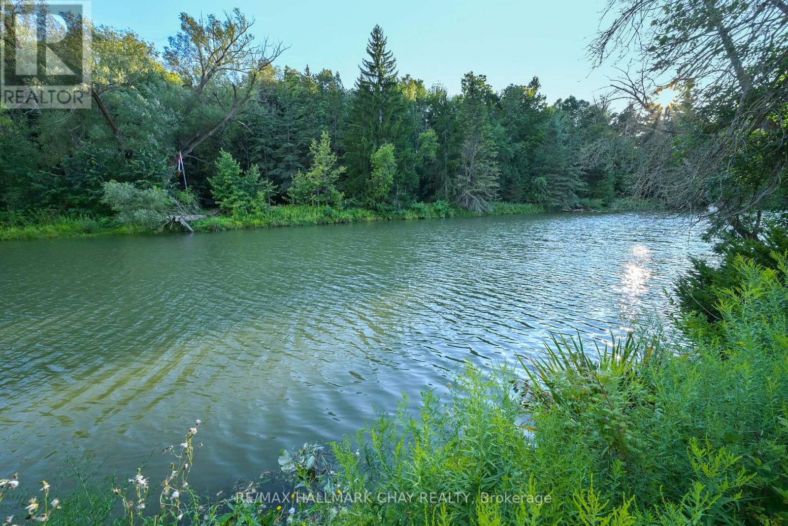 Lot 90 - 6047 Hwy 89, New Tecumseth, Ontario  L9R 2G2 - Photo 20 - N12655106