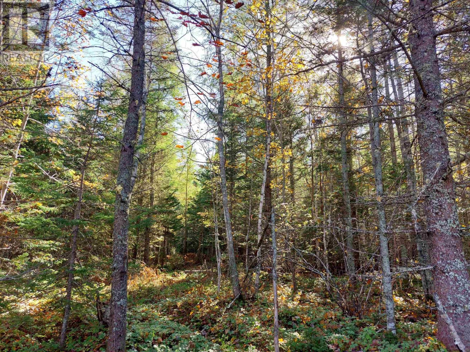 Lot 25 Beaver Lane, Grantville, Nova Scotia  B0E 1J0 - Photo 4 - 202600009