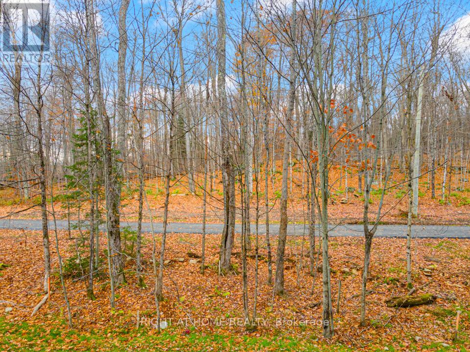 107 - 18 Campus Trail, Huntsville, Ontario  P1H 1C6 - Photo 13 - X12655170