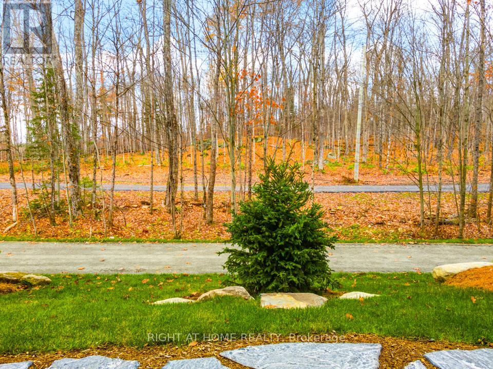 107 - 18 Campus Trail, Huntsville, Ontario  P1H 1C6 - Photo 15 - X12655170