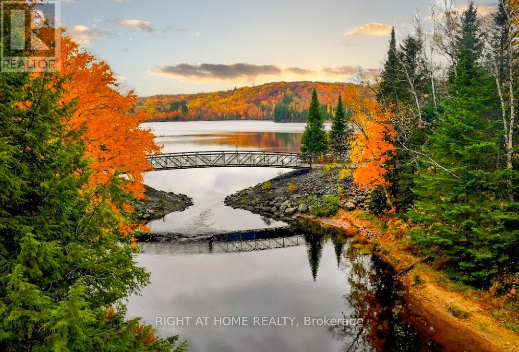 107 - 18 Campus Trail, Huntsville, Ontario  P1H 1C6 - Photo 28 - X12655170