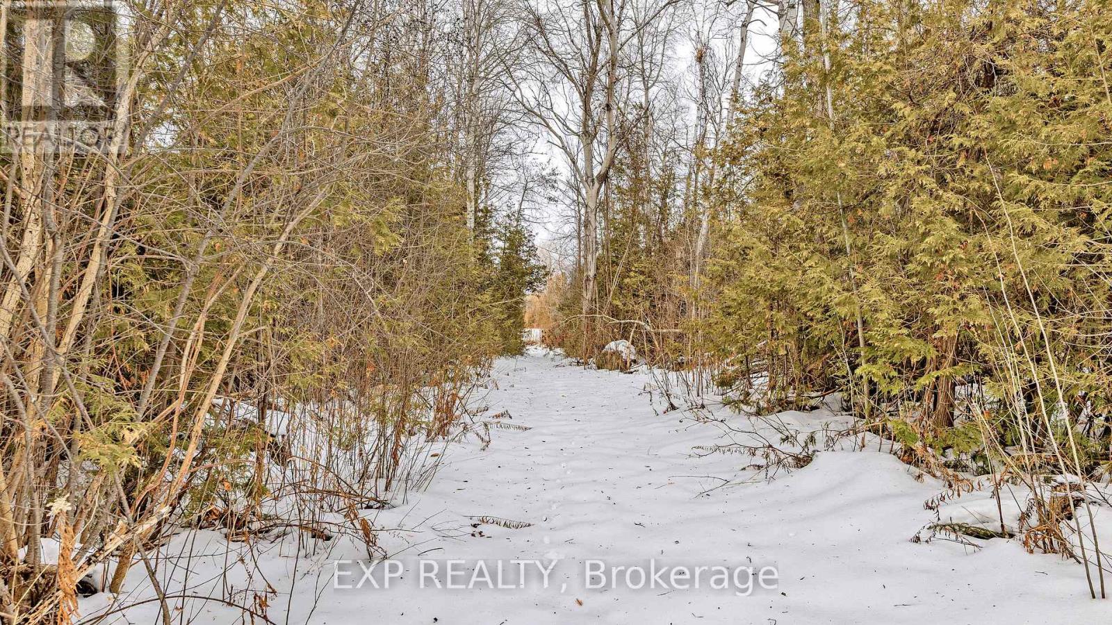 3160 Ravenshoe Road, Georgina, Ontario  L9P 1R2 - Photo 20 - N12655210