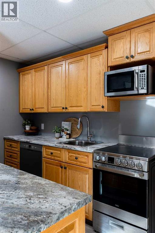 58 Cottonwood Court Sw, Medicine Hat, Alberta  T1B 4R5 - Photo 29 - A2261552