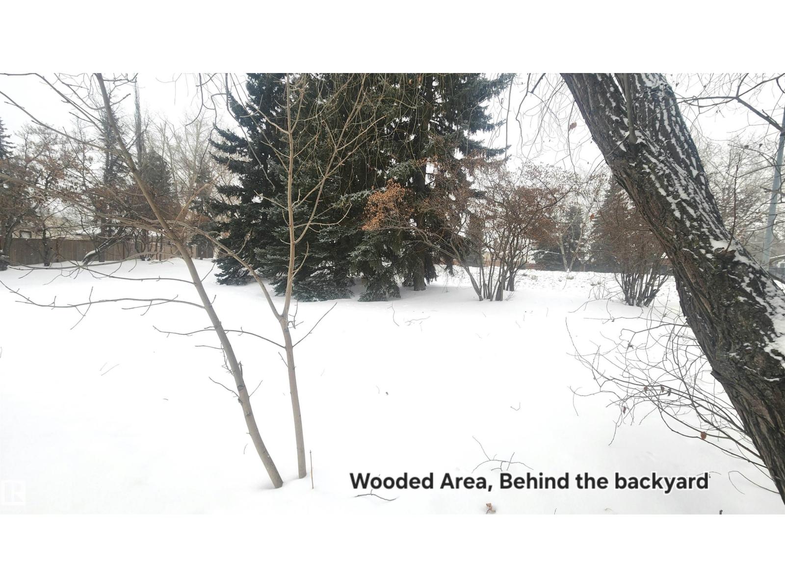 115 Ekota Cr Nw, Edmonton, Alberta  T6K 2J6 - Photo 37 - E4468833