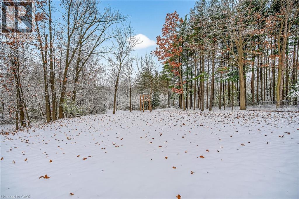 1703 #3 Highway W, Jarvis, Ontario  N0A 1J0 - Photo 48 - 40778254