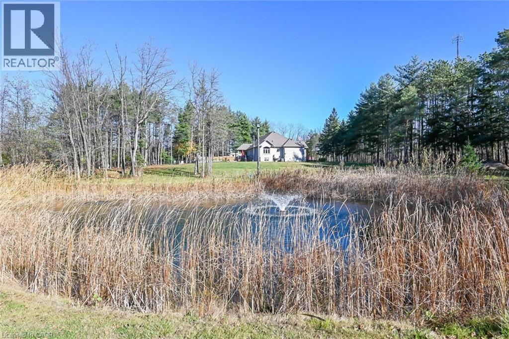 1703 #3 Highway W, Jarvis, Ontario  N0A 1J0 - Photo 50 - 40778254