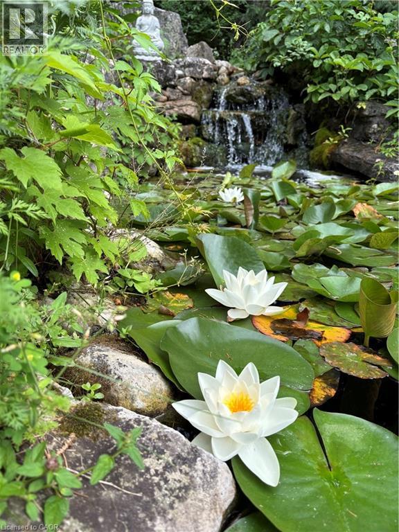 139 Campbell Avenue W, Campbellville, Ontario  L0P 1B0 - Photo 36 - 40793603