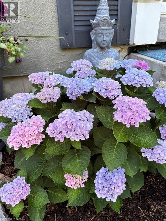 139 Campbell Avenue W, Campbellville, Ontario  L0P 1B0 - Photo 35 - 40793603