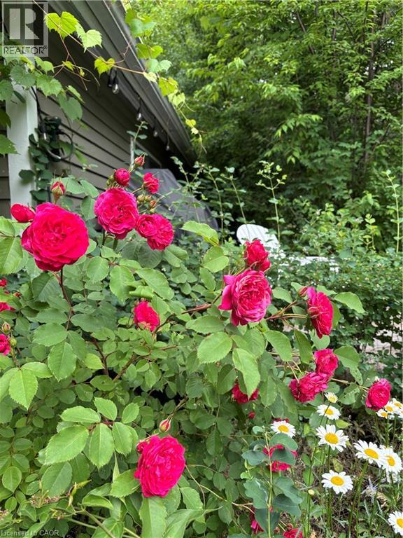 139 Campbell Avenue W, Campbellville, Ontario  L0P 1B0 - Photo 41 - 40793603