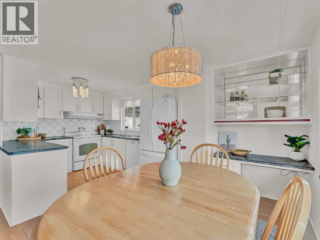 135 Anson Avenue Sw, Medicine Hat, Alberta  T1A 8A1 - Photo 9 - A2276475