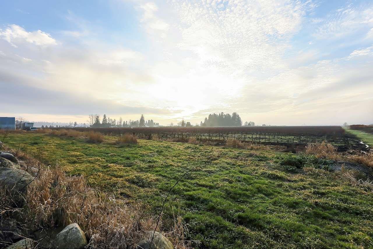 8415 184 Street, Surrey, British Columbia  V4N 6G4 - Photo 3 - R3075069