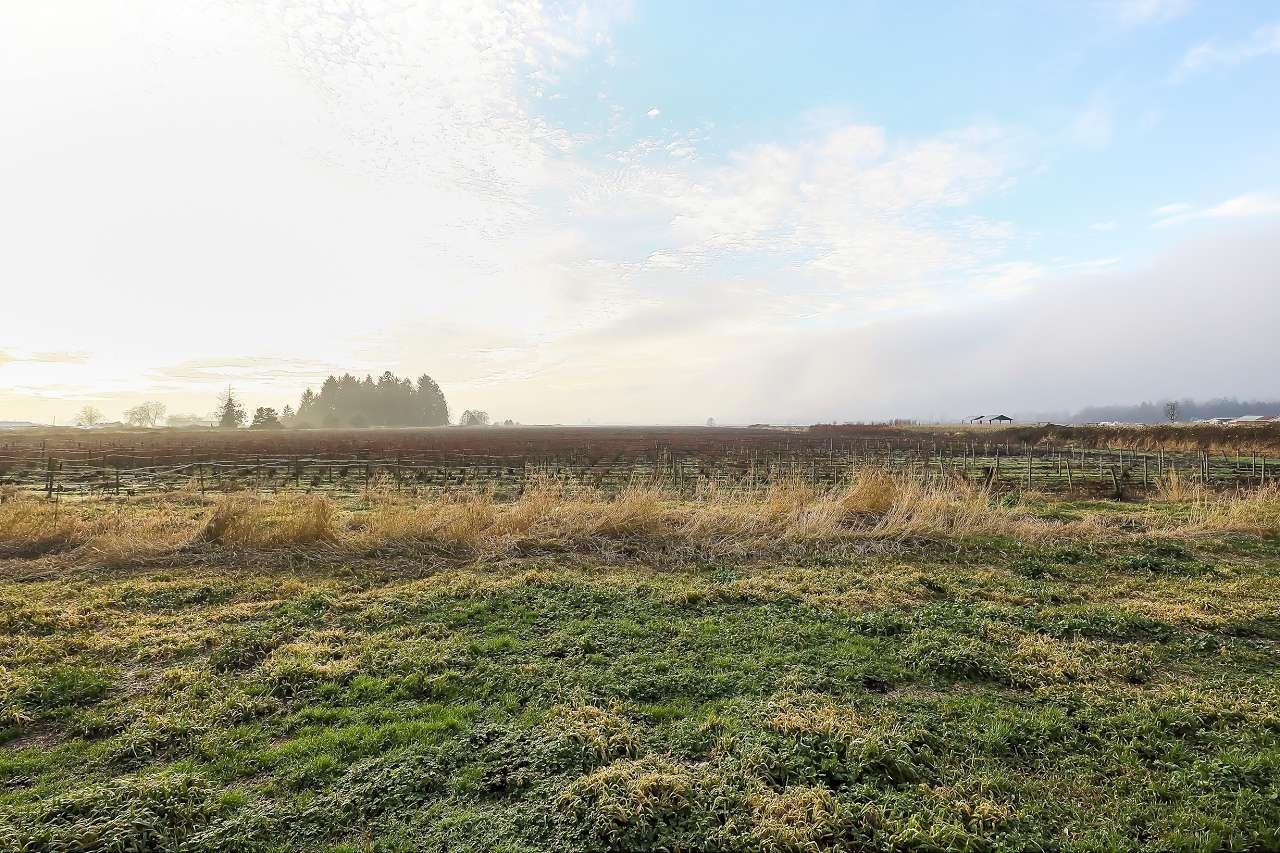 8415 184 Street, Surrey, British Columbia  V4N 6G4 - Photo 36 - R3075069