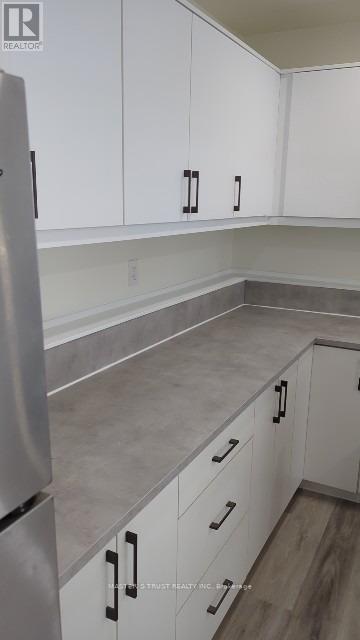 Lower Unit - 1757 Wingrove Avenue, Innisfil, Ontario  L9S 1S4 - Photo 5 - N12655346