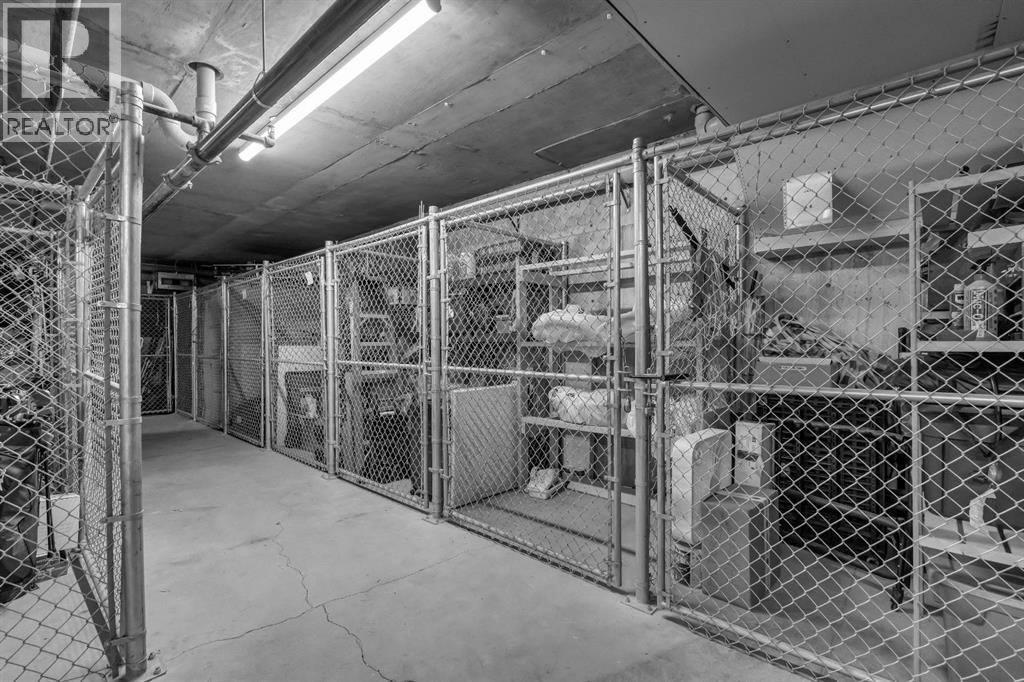 304, 518 33 Street Nw, Calgary, Alberta  T2N 2W4 - Photo 35 - A2276310