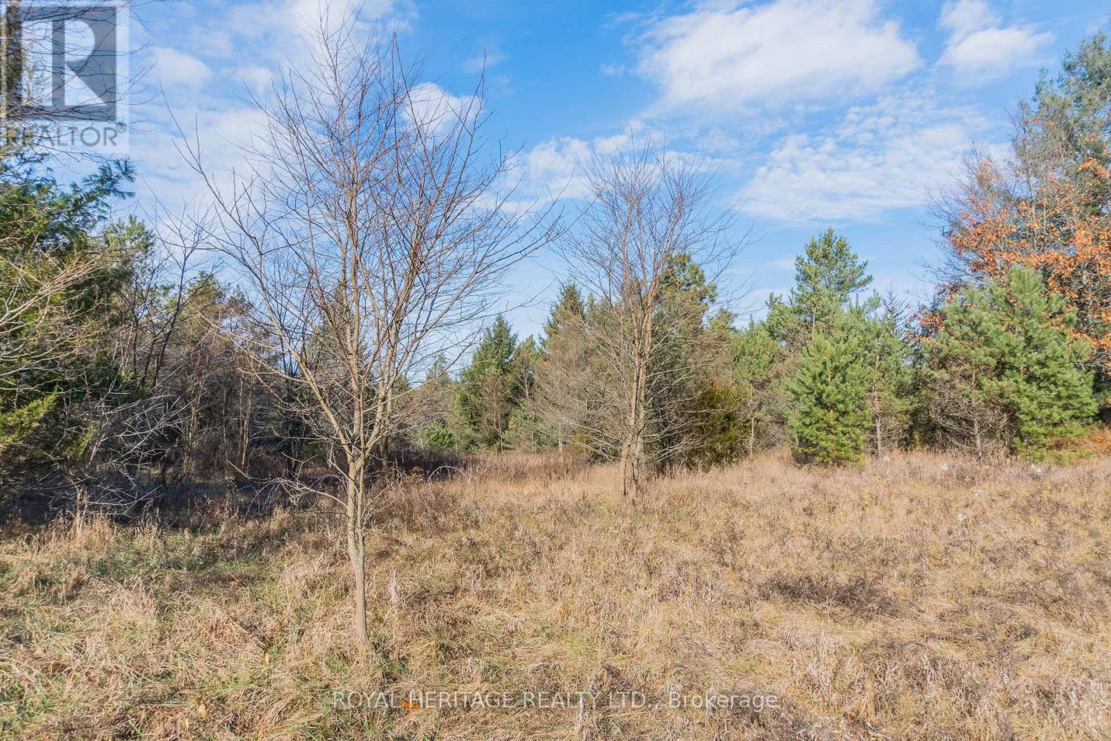 0 County 25 Road, Cramahe, Ontario  K0K 1M0 - Photo 3 - X12655446