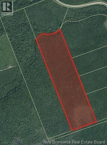 Lot Emerson (Back) Road, Beersville, New Brunswick  E4T 2M5 - Photo 1 - NB131525