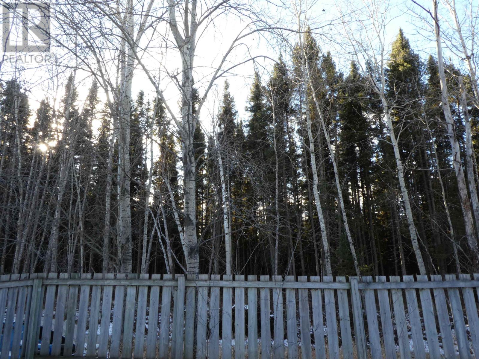 305 Clarke Ave Se, Geraldton, Ontario  P0T 1M0 - Photo 23 - TB253618