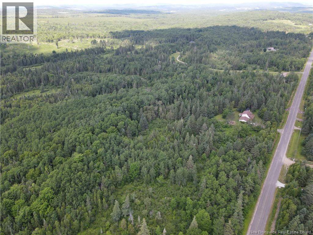 Lot Drurys Cove Road, Ratter Corner, New Brunswick  E4E 3L2 - Photo 8 - NB131467