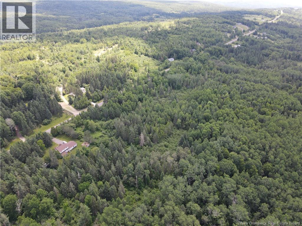 Lot Drurys Cove Road, Ratter Corner, New Brunswick  E4E 3L2 - Photo 2 - NB131467