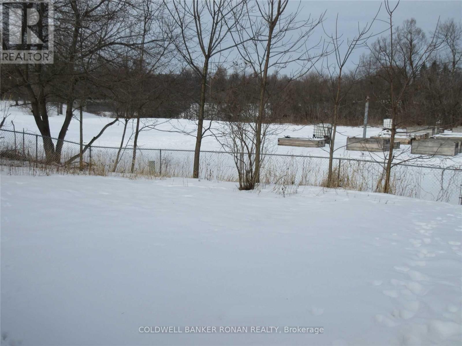 194 Victoria Street W, New Tecumseth, Ontario  L9R 1V6 - Photo 3 - N12655634