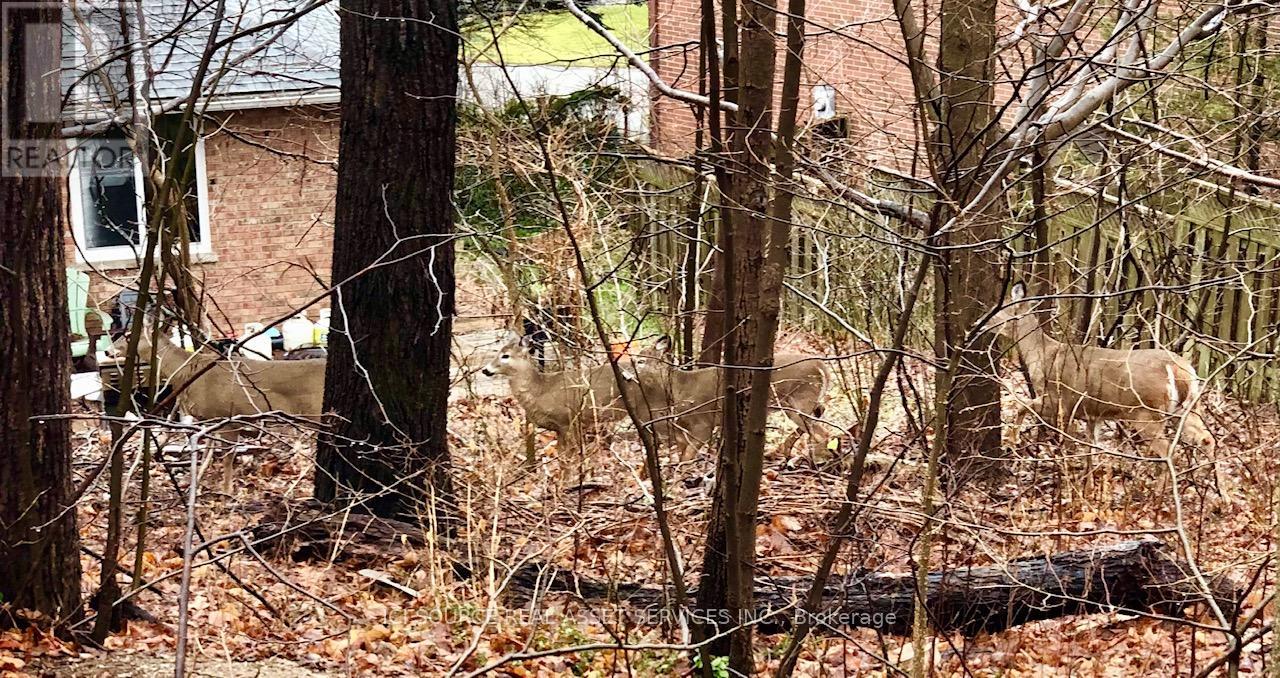 350 Sarnia Road, London North (North K), Ontario  N6G 1N3 - Photo 13 - X12655602