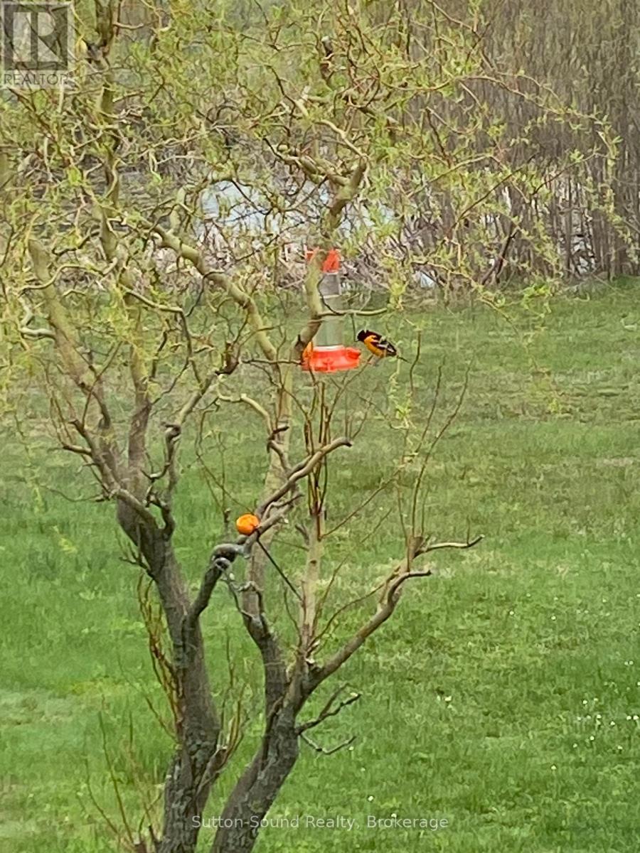 144 Rosewood Drive, Georgian Bluffs, Ontario  N4K 5N5 - Photo 23 - X12655698