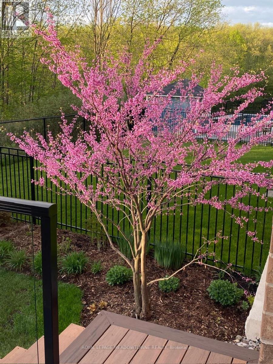 633 Wettlaufer Terrace, Milton, Ontario  L9T 8N1 - Photo 44 - W12604070