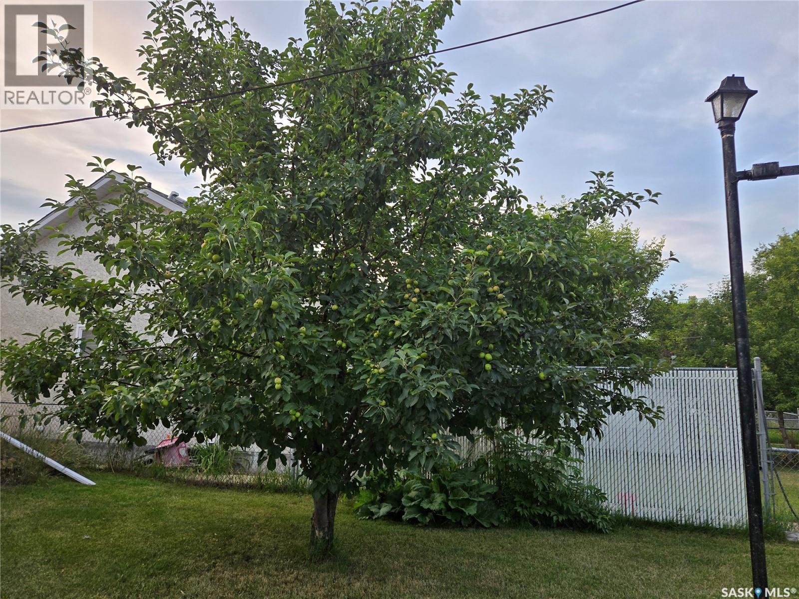 215 Heward Street, Stoughton, Saskatchewan  S0G 4T0 - Photo 20 - SK012948