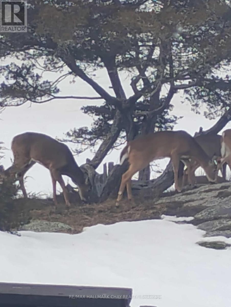 1866 Tay Bay Road, Severn, Ontario  L0K 1E0 - Photo 39 - S12656040