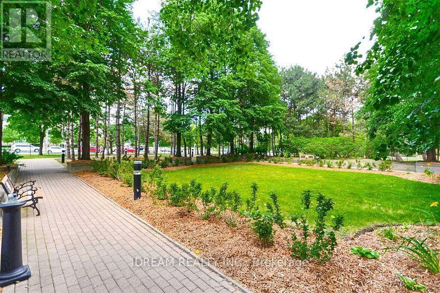 202 - 3700 Kaneff Crescent N, Mississauga, Ontario  L5A 4B8 - Photo 30 - W12388261