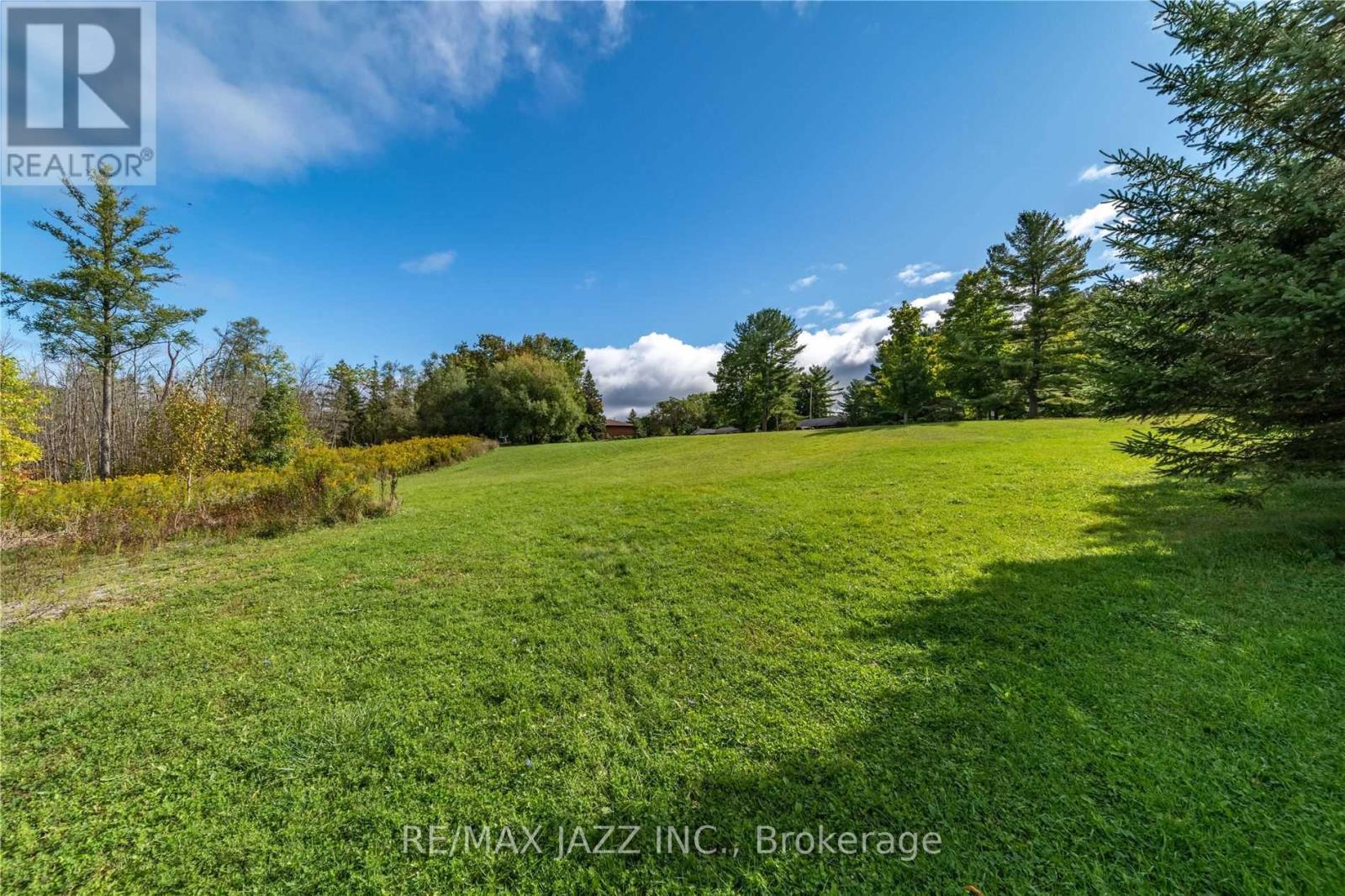 Lot 17 Grandy Road, Kawartha Lakes, Ontario  K0M 1K0 - Photo 5 - X8288600
