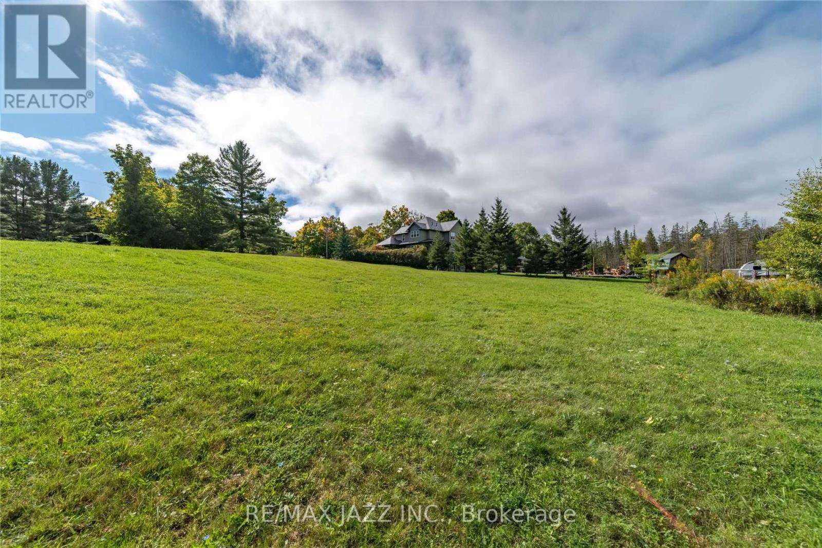 Lot 17 Grandy Road, Kawartha Lakes, Ontario  K0M 1K0 - Photo 6 - X8288600