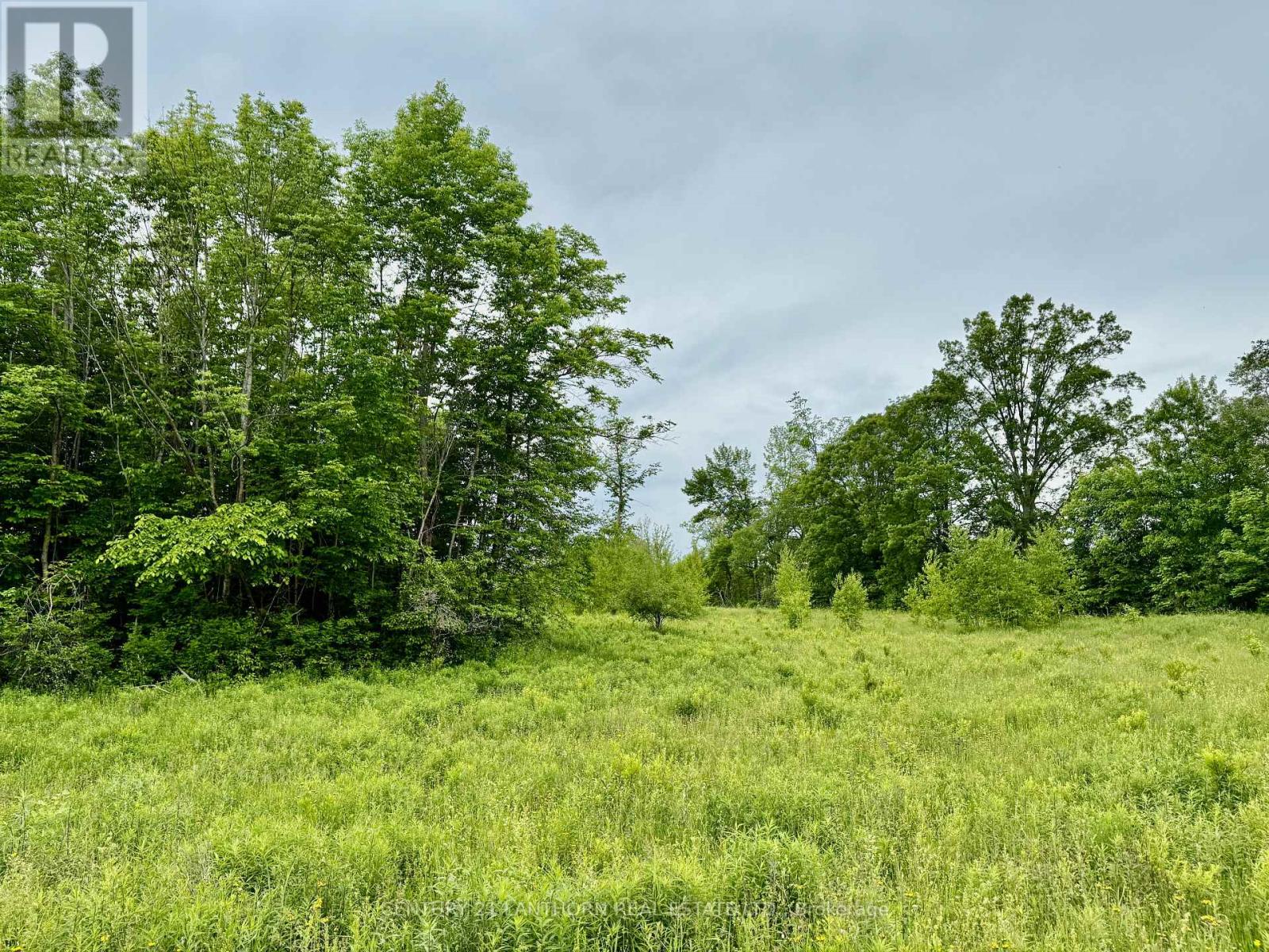 00 Cooper Road, Madoc, Ontario  K0K 2K0 - Photo 5 - X12656314
