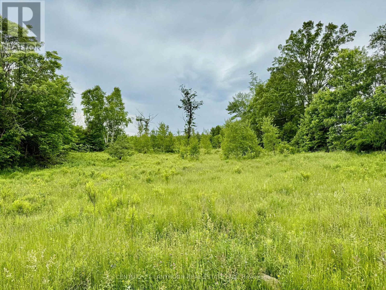 00 Cooper Road, Madoc, Ontario  K0K 2K0 - Photo 6 - X12656314