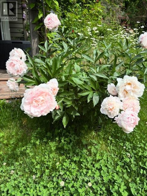 139 Campbell Avenue W, Milton, Ontario  L0P 1B0 - Photo 44 - W12628208