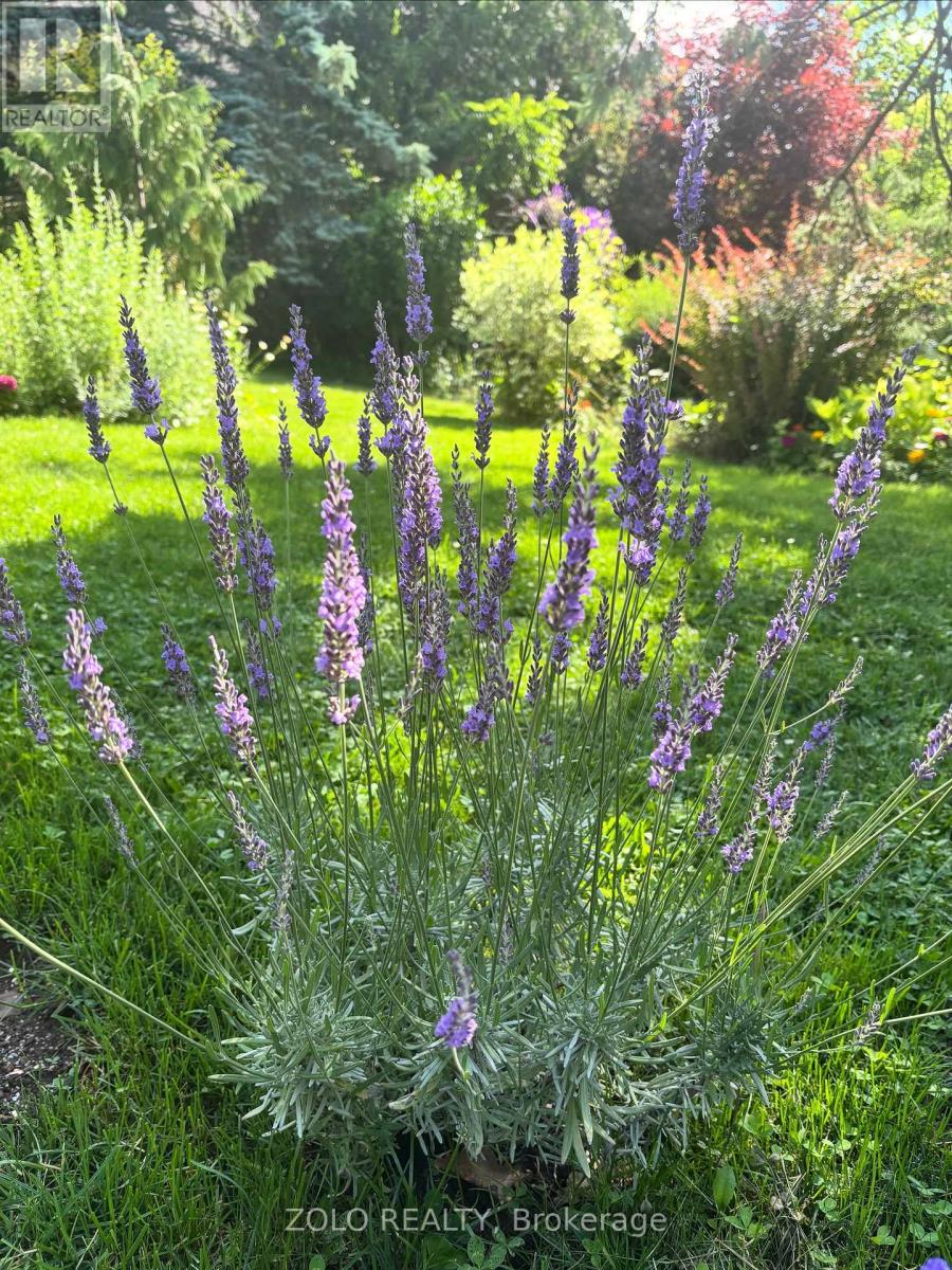 139 Campbell Avenue W, Milton, Ontario  L0P 1B0 - Photo 50 - W12628208