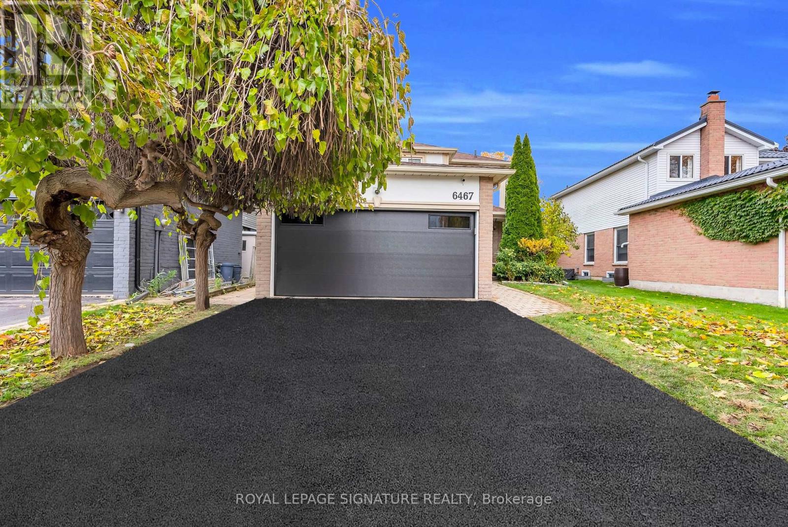 6467 Edenwood Drive, Mississauga, Ontario  L5N 3H2 - Photo 3 - W12656336