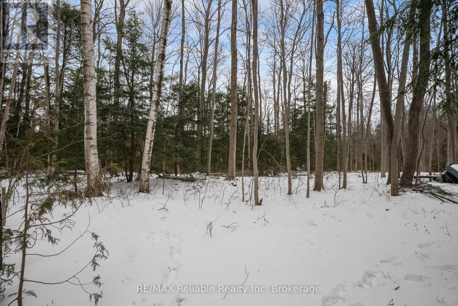 20 George Street, Bluewater, Ontario  N0M 1G0 - Photo 37 - X12656504