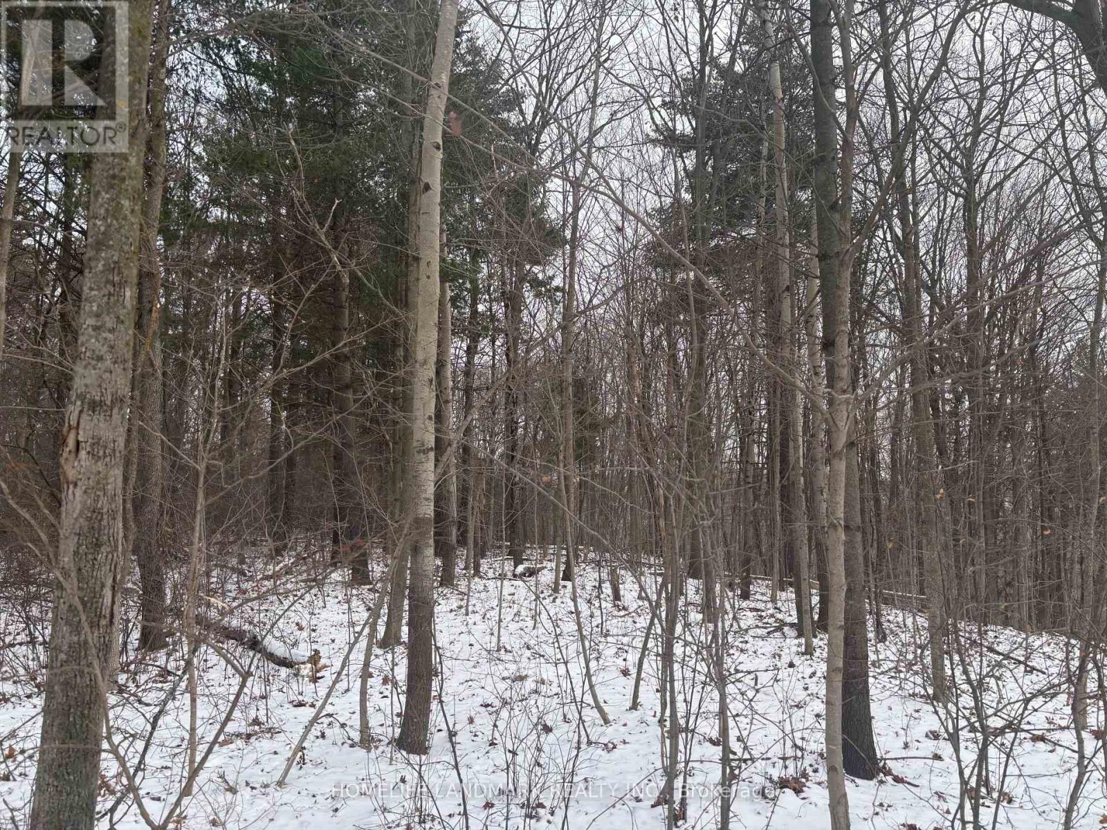 Lt 45 Con 7 Ebr Lindsay, Northern Bruce Peninsula, Ontario  N0H 1Z0 - Photo 1 - X12656678