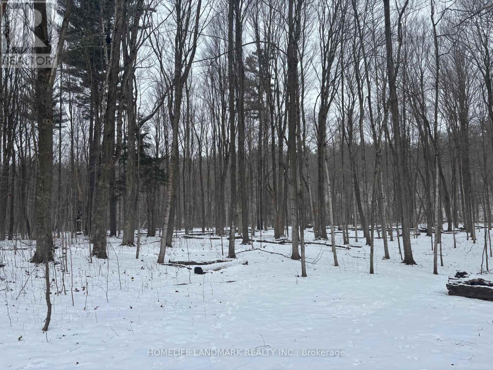 Lt 45 Con 7 Ebr Lindsay, Northern Bruce Peninsula, Ontario  N0H 1Z0 - Photo 2 - X12656678