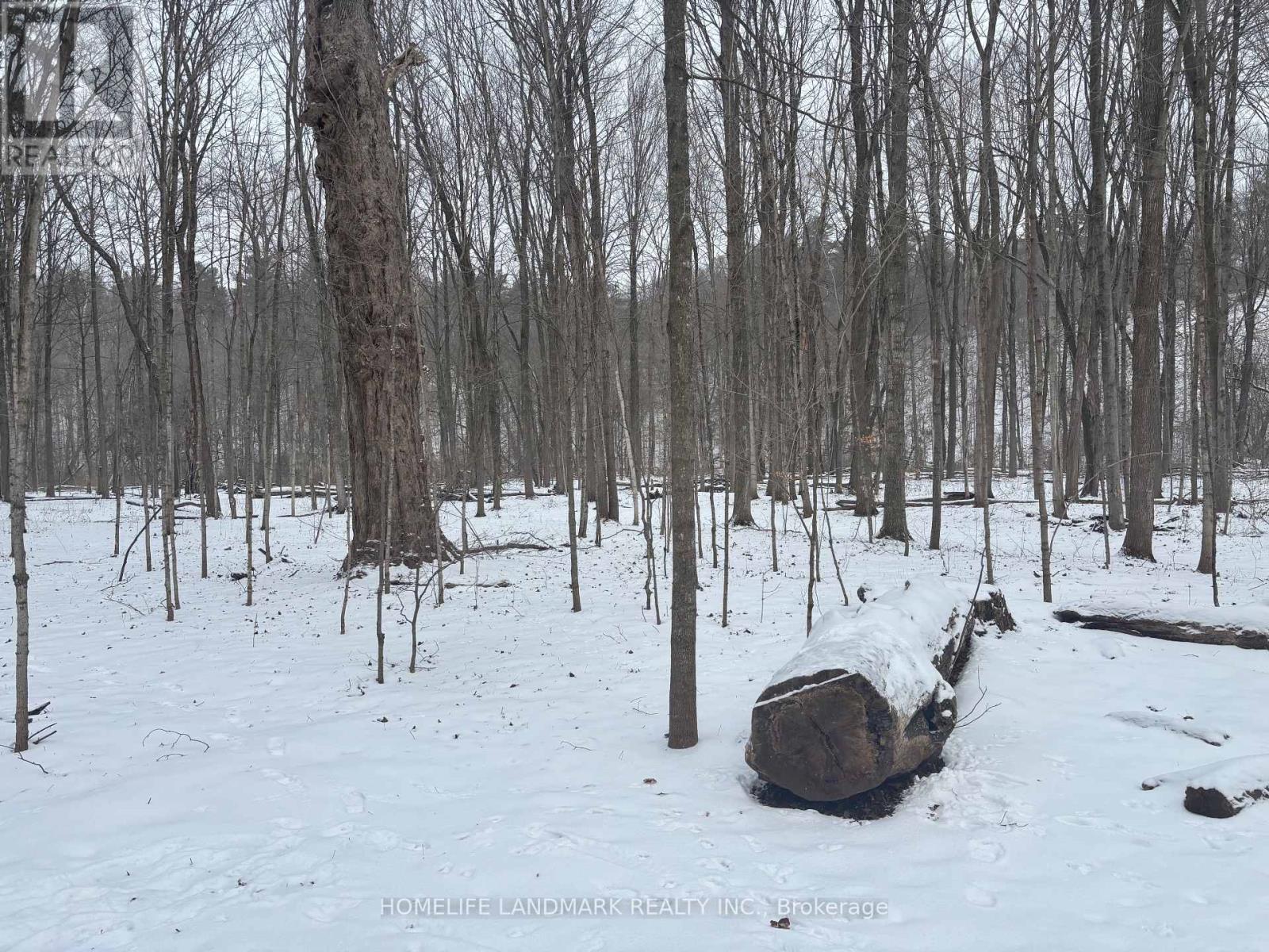 Lt 45 Con 7 Ebr Lindsay, Northern Bruce Peninsula, Ontario  N0H 1Z0 - Photo 3 - X12656678