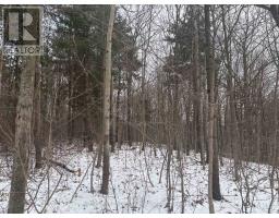 LT 45 CON 7 EBR LINDSAY, Northern Bruce Peninsula, Ontario