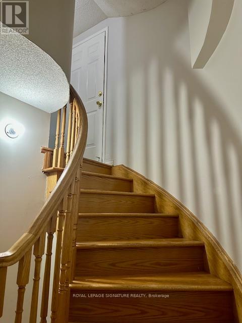 Bsmt - 82 Lennon Trail, Brampton, Ontario  L6Y 5P7 - Photo 5 - W12656752