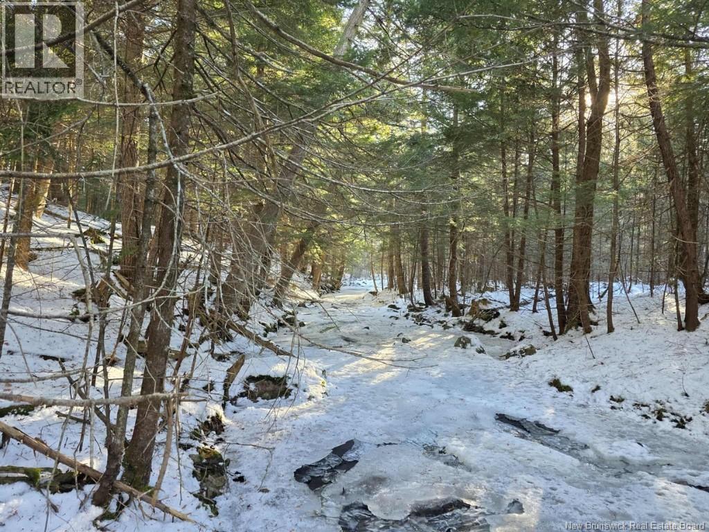 0 Crest Avenue, Heathland, New Brunswick  E3L 5C1 - Photo 2 - NB131431